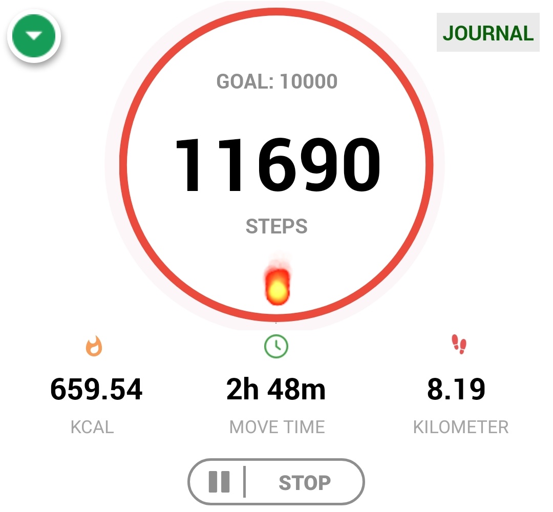 SusannaFataki82's tweet photo. I had such a peaceful walk at the park, surrounded by rain, sounds of the wind and birds chirping that I walked so much and I didn't realise so.
💖
#hollandparkgardens #hollandpark #hollandparklondon #birds #birdschirping #walkinginthepark #rainoutside #rain #windy #windywalk https://t.co/LJznJocaJv