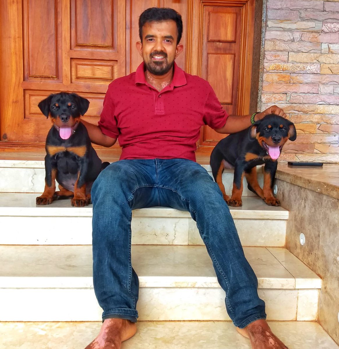 07reddevilz's tweet photo. #Mirchu #Bruce #Bruno #Beauty #Beast #Rottweilers https://t.co/8PEqDT9h1z