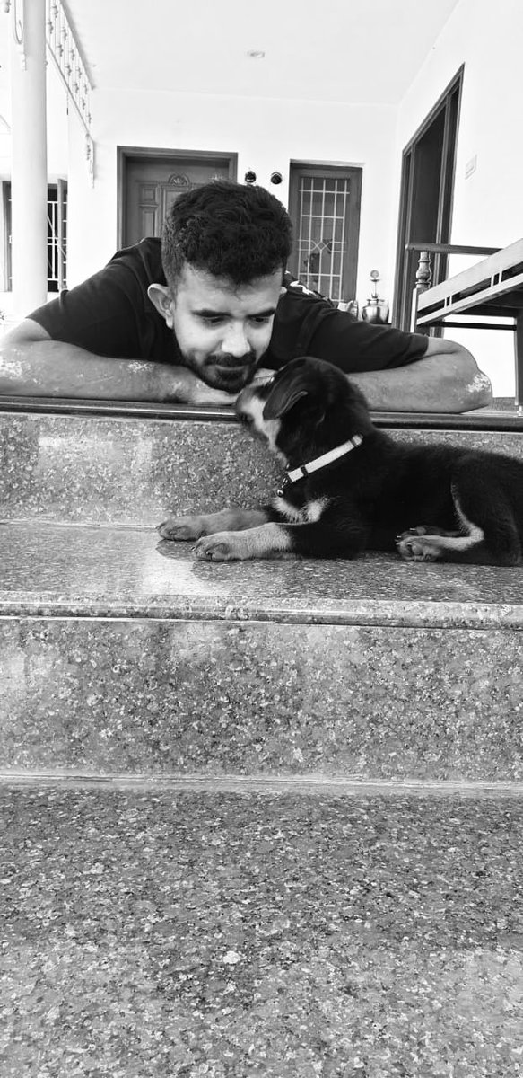 07reddevilz's tweet photo. #Mirchu #Bruce #Bruno #Beauty #Beast #Rottweilers https://t.co/8PEqDT9h1z