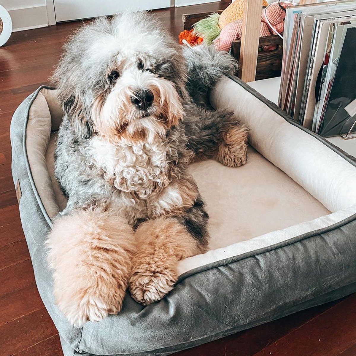 Pet Craft Supply Co. tweet media