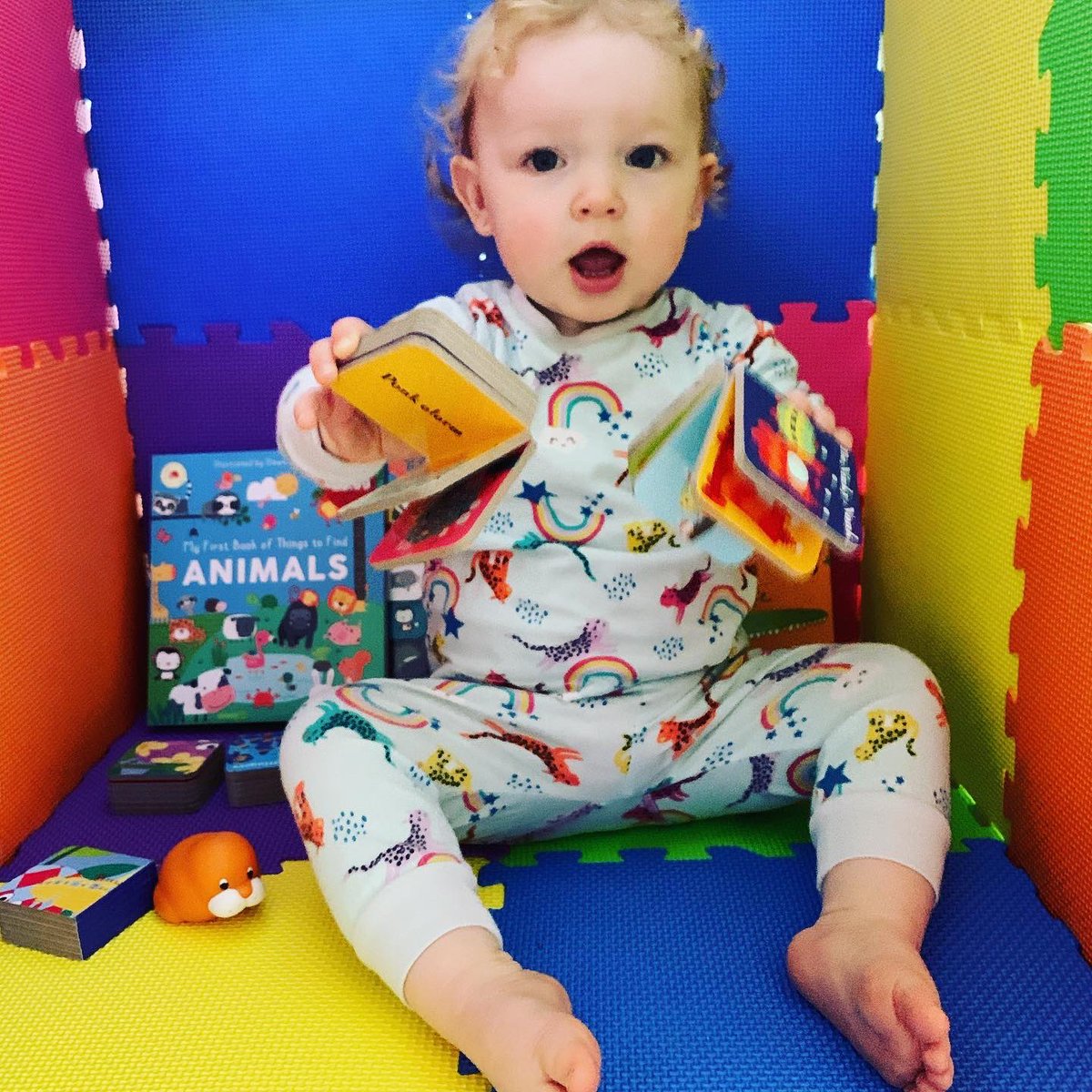 narelle_allen's tweet photo. Built my baby a library 📚 nook today as she's a wee 📖 book worm 🪱 @readingrainbow  @roald_dahl @NightGardenHQ @UsbourneBooks @ReallyDecent @ladybirdbooks https://t.co/jETpxRpMP6
