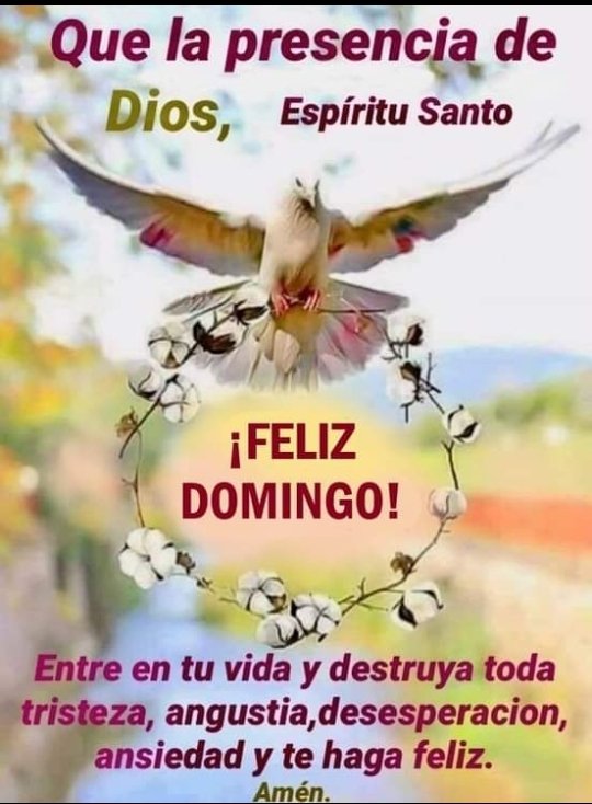auracele's tweet photo. Feliz día mí bella amiga Ingrid 🌺🌼🌺 y mí saludo lo hago extensivo a tod@s en este hermoso grupo.
Les deseo un domingo lleno del amor de Papá Dios 😇🙏😊✨ https://t.co/r4HHcknb0i