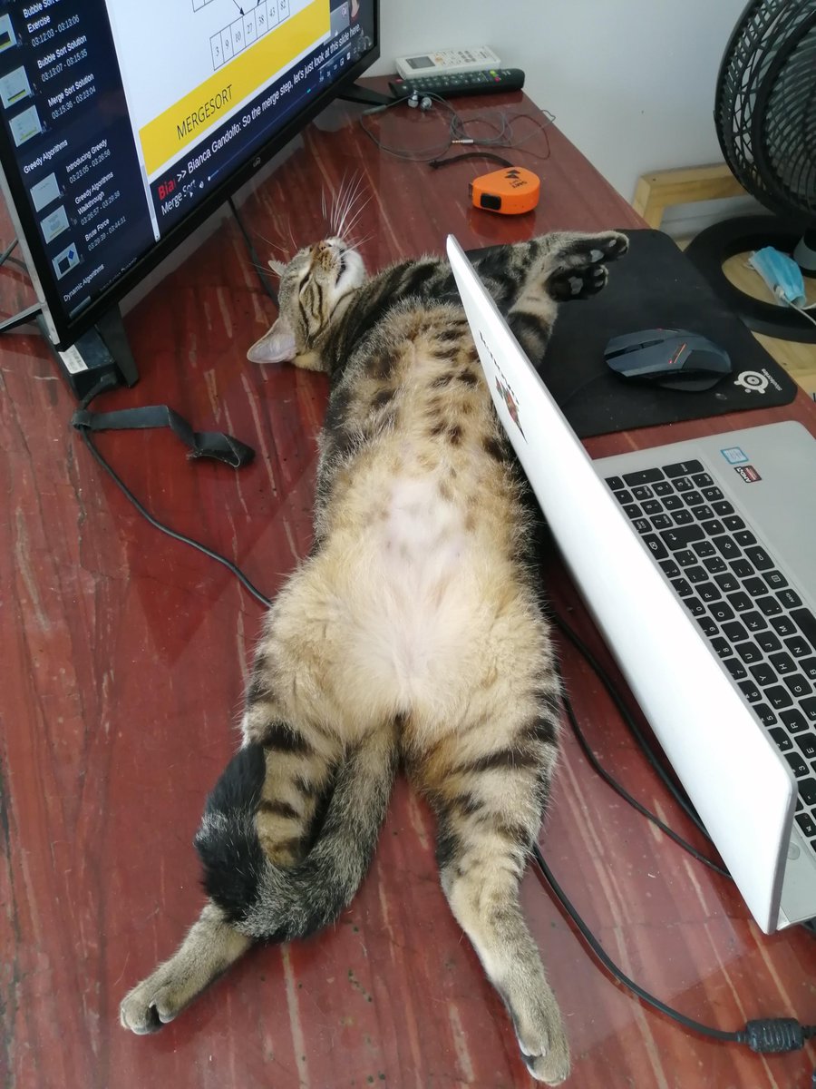 dlscoccia's tweet photo. A deserved rest after studying some sorting algorithms. #javascript https://t.co/08Z8GuQWTp