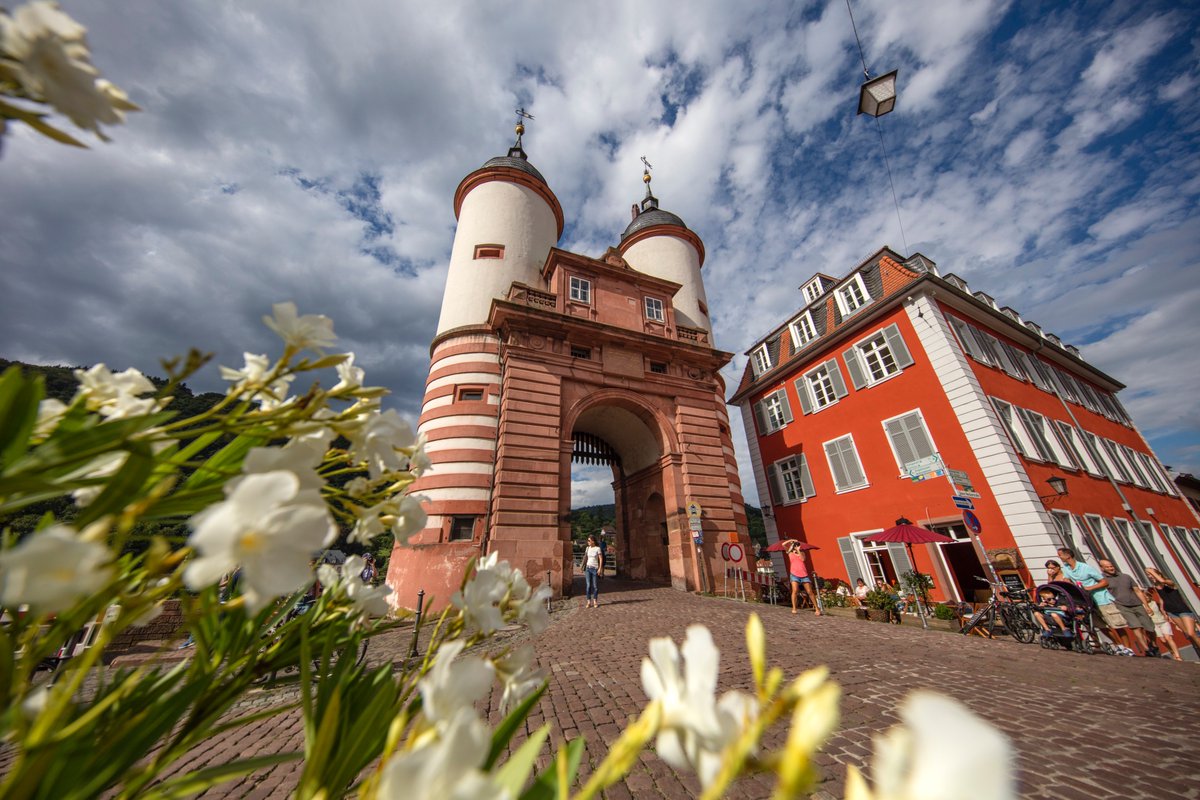 germanbackpackr's tweet photo. Great news - my home state Baden-Württemberg is finally opening up for tourism again! In regions with low infection numbers; hotels, restaurants &amp; sights are accessible again for visitors - for example Heidelberg and the Lake Constance region! @visitbawu #visitbawu #wirsindsüden https://t.co/VIW4gdkP2I