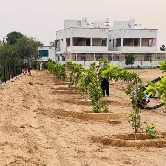 ashokpatelbjym's tweet photo. #MissionGreen 🌳🌳
    
   લોકડાઉનના સમયમાં ગણેશપુરા ગામમાં  ચાલતી નિઃશુલ્ક ટિફિન સેવાની આજે  પૂર્ણાહતિ હતી એ સંદર્ભે  ગણેશપુરા વાડી માં આવનાર ભાવિ પેઢી ને કુદરતી ઓક્સિજનનું મહત્વ સમજાય તે હેતુથી આજે ગણેશપુરા ગામ ખાતે  વૃક્ષારોપણ નો કાર્યક્રમ રાખવામાં આવ્યો..@DrPrashantkorat https://t.co/1YzS28kH8q