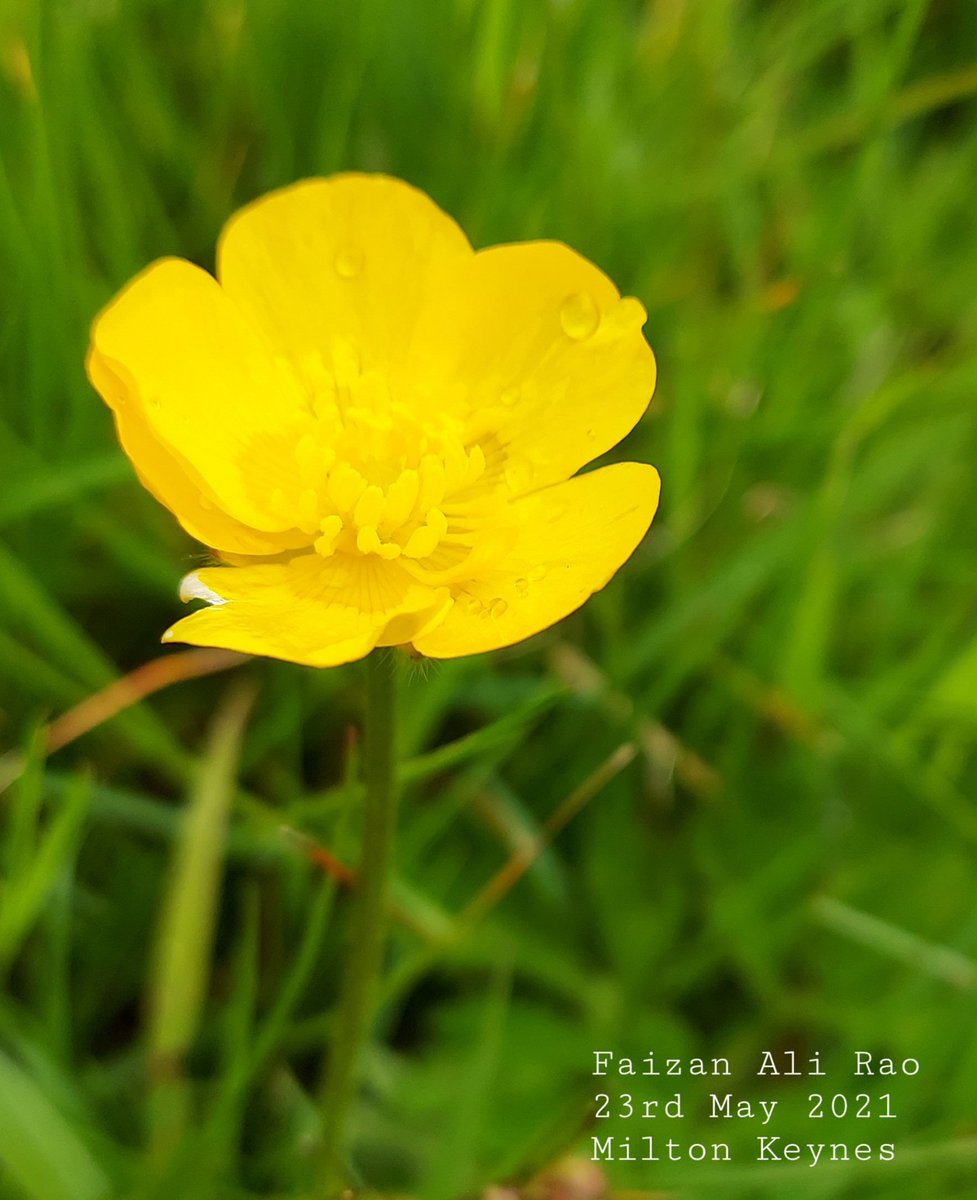 15 minute nature walk during managed quarantine..... Aah life... so beautiful!!!