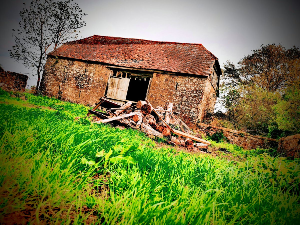 It may be wet, but the grass and land is thriving
🌦️🌱
#stablebarnbrinsbury