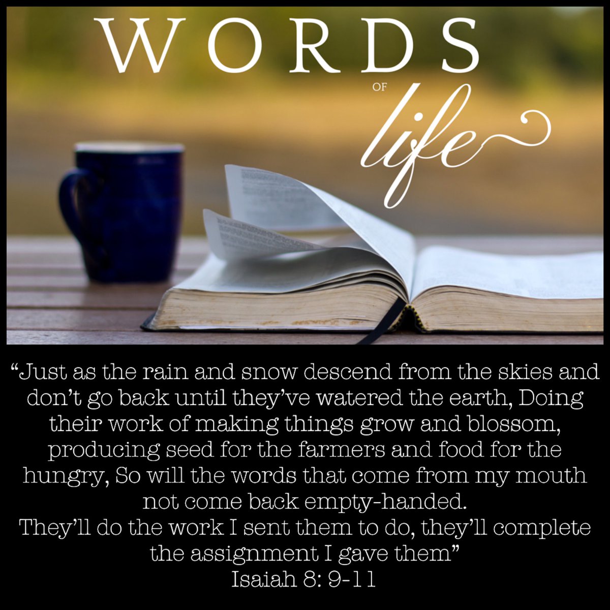 This the WORD OF THE LORD ... Thanks be to God !