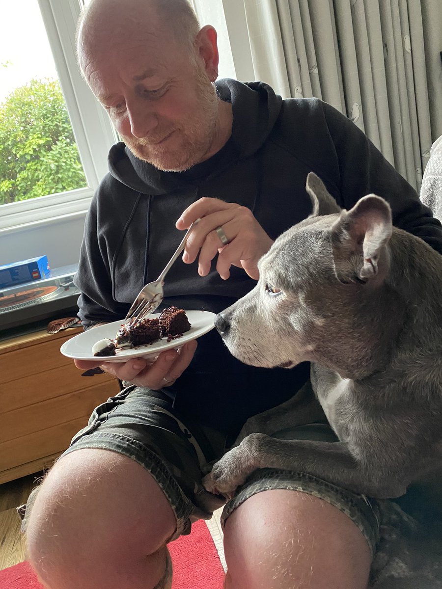 Soozinm's tweet photo. Misty doesnโt understand the concept of chocolate (& it being bad for dogs) ๐ #stillbegging https://t.co/UDRDaWIK6I