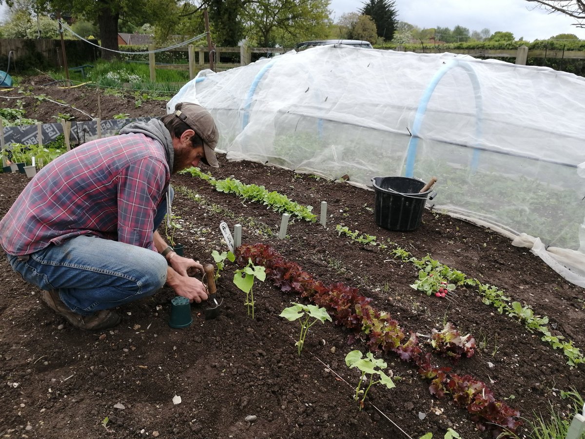 Matt Oliver tweet media