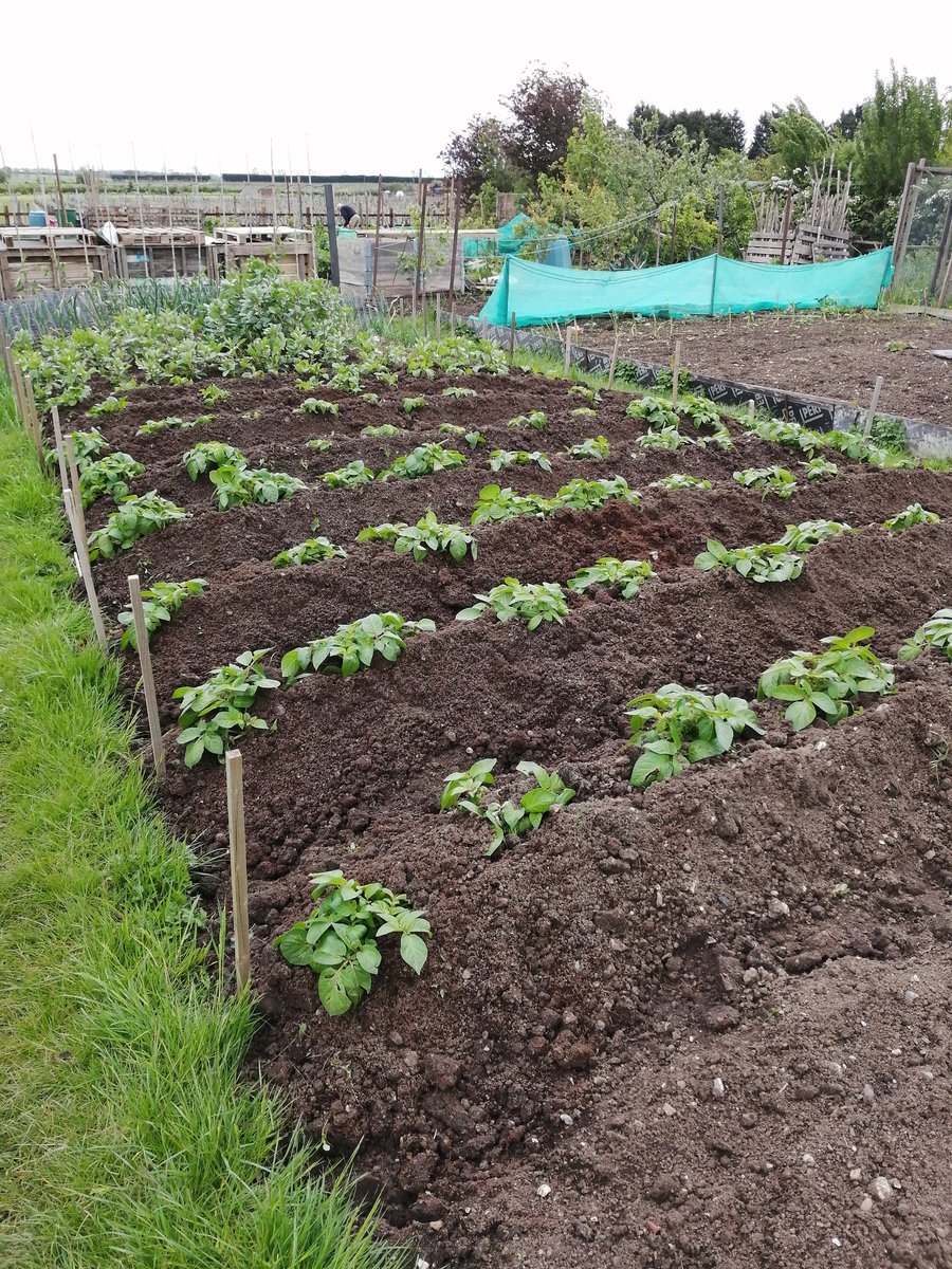 Matt Oliver tweet media