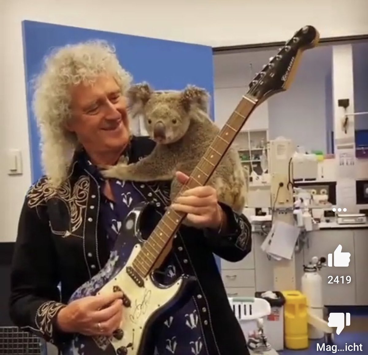ralfheimann's tweet photo. Wer kennt's nicht. Man würde gern einfach in Ruhe im Labor weiterarbeiten, aber vor der Tür steht Brian May mit einem Koala auf der Schulter und spielt ein Gitarrensolo. https://t.co/rdlXvXFhlC
