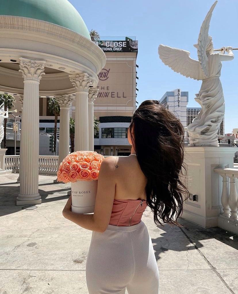 DoseofRoses's tweet photo. Peach is the perfect color for spring/summer 🧡 https://t.co/vH3jocRhi8 https://t.co/EBLxRoGtCa