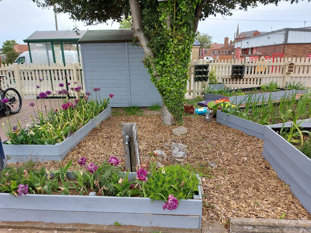 poacherline's tweet photo. @BBCCountryfile @Love_plants @BBCOne Here at #CommunityRail - we love turning unused spaces at our stations into wonderful #community gardens to encourage #flora &amp; #forna More info here: https://t.co/n2Kw6EiAYT We'd be thrilled to show you around! @allotment9A @EMCommunityRail @CommunityRail #growbritain https://t.co/tqdyLPxzg3