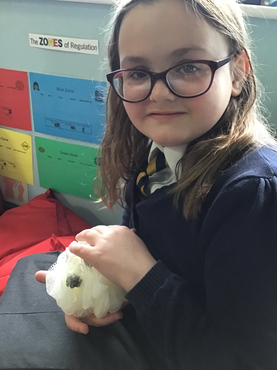 We have  received a parcel from the character in our book! Eddie sent us all a gift so that we could think about how we feel when we open a present, but she didn't realise  that the Fluffy, Squishy, Itty, Bitty must have sneaked into the box! <a href="/CroxtethC/">CroxtethCPS</a>