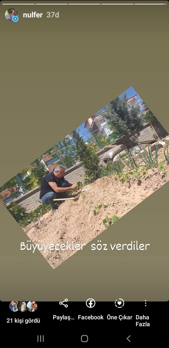 nilfer (@nlferdogan) on Twitter photo 