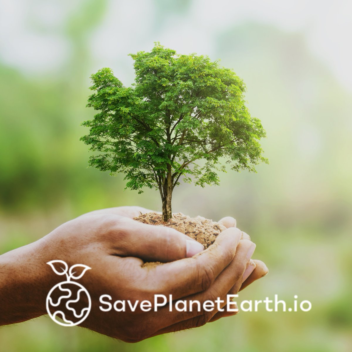 SPE_ETH's tweet photo. #spe #saveplanetearth https://t.co/yurEq0aZSl