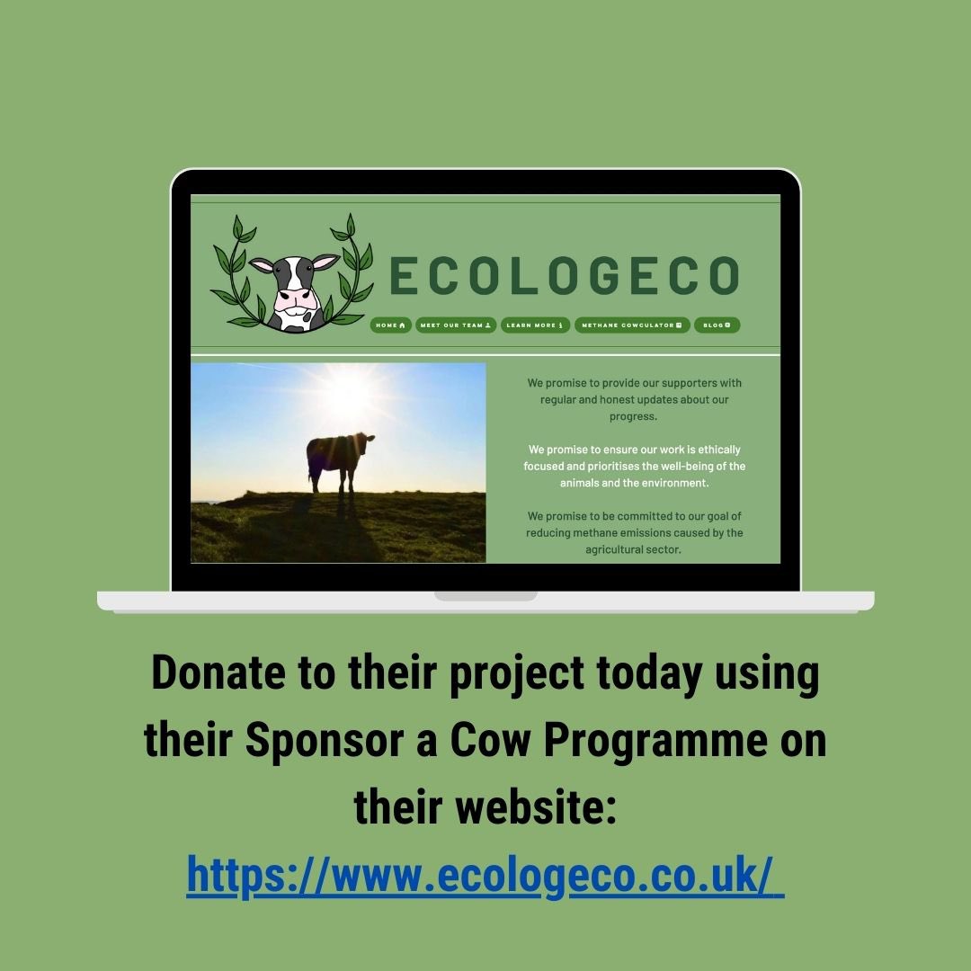 #ProjectSpotlight - Ecologeco: a social enterprise aiming to reduce the amount of methane produced by the agricultural sector. swipe through to learn more! 🐮💚 
@EnactusUK #enactusuk #enactus #nextgenleaders #ClimateAction #methane #Environmentalist