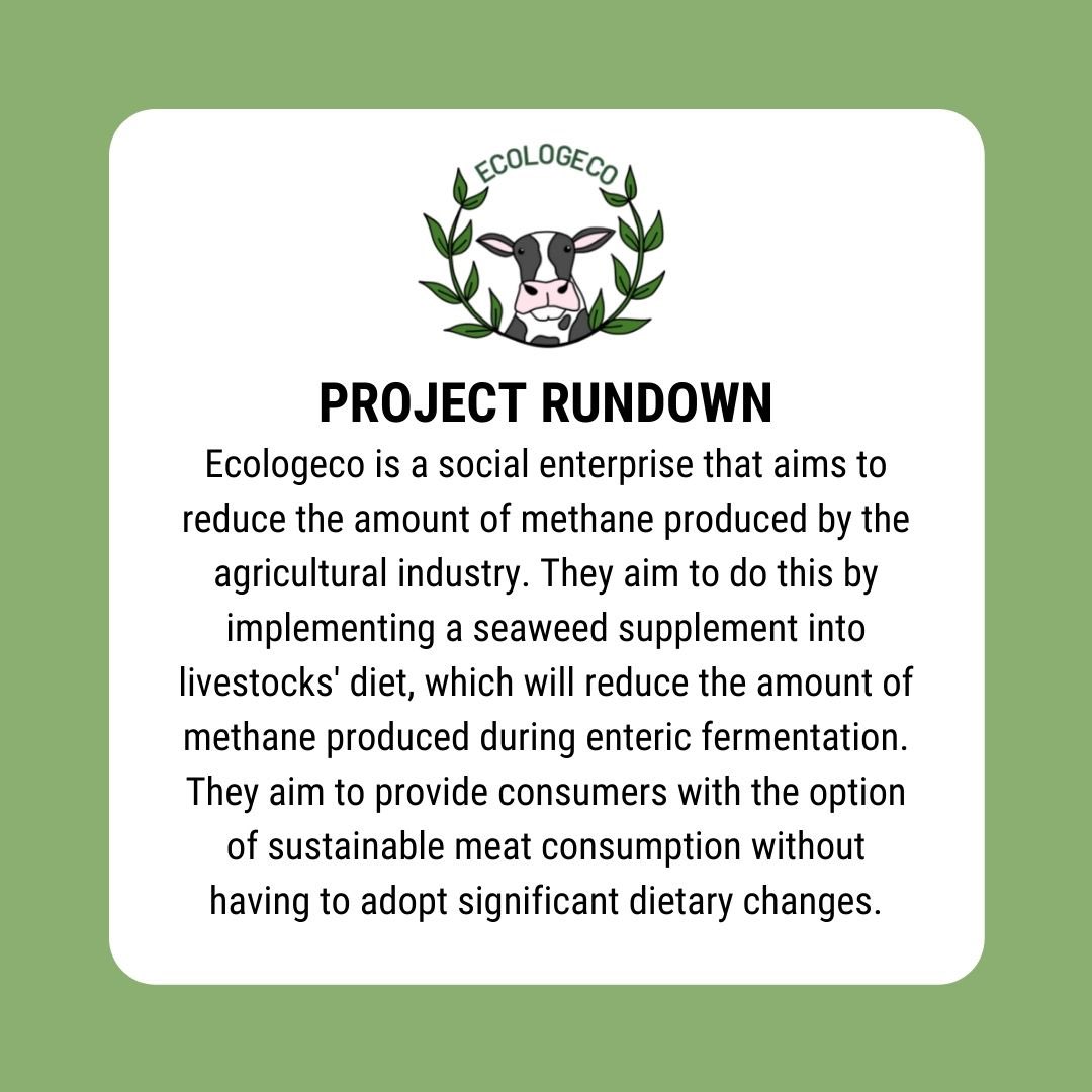 EnactusNotts's tweet photo. #ProjectSpotlight - Ecologeco: a social enterprise aiming to reduce the amount of methane produced by the agricultural sector. swipe through to learn more! 🐮💚 
@EnactusUK #enactusuk #enactus #nextgenleaders #ClimateAction #methane #Environmentalist https://t.co/OUmIkx8ZkD