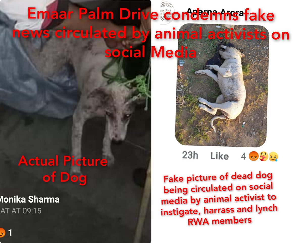 RWAs United tweet media