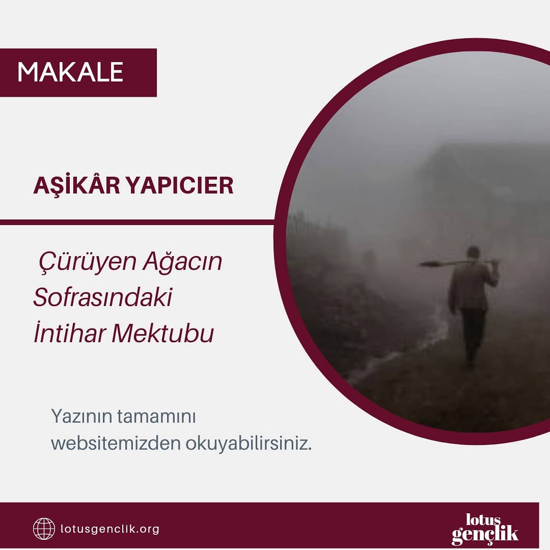 Yazarlarımızdan Aşikâr Yapıcıer (@asikarofficial)'in kaleminden harika bir yazı! Lotus Gençlik Topluluğuna destek olmak için gönderilerini beğenmeyi unutmayın. 🌸
#gundem #keşfet #trend #yazı
lotusgenclik.org/curuyen-agacin…