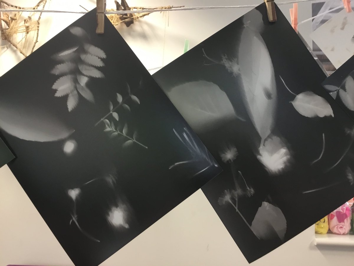 PoldenBower's tweet photo. On Thursday, Elmwood were lucky to have a visit for a photography artist. One of our classrooms became a darkroom and some of our students had fun finding out how cameras work and even experienced creating their own photos!

#SPAEDA
#quantocked
#inthefootsteps
#BelieveYouCab https://t.co/X8dHda6Ktl