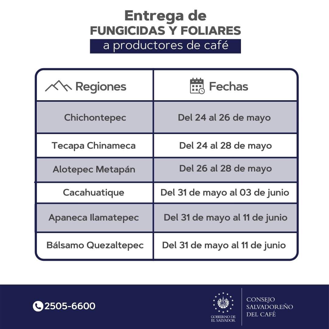 lily_pacas's tweet photo. Mañana comienza el programa de entrega de fungicidas y foliares a nivel nacional en #Chinchotepec y #TecapaChinameca
Más información de los requisitos, lugares de entrega y fechas de otras regiones cafetaleras en la pág de @ConsejoCafeSV
#cafedeelsalvador https://t.co/FM66lIYu60