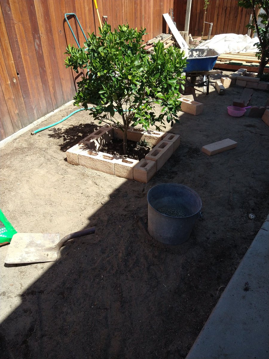 ScorpionQueen52's tweet photo. Almost done. Just here and there leveling. Almost ready for the sod. #yardprojects #homeimprovement https://t.co/GqFTNO93ci