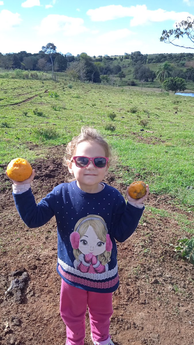 Domingo de mandarinas en el distrito mas lindo del mundo, Nueva Alborada Itapua