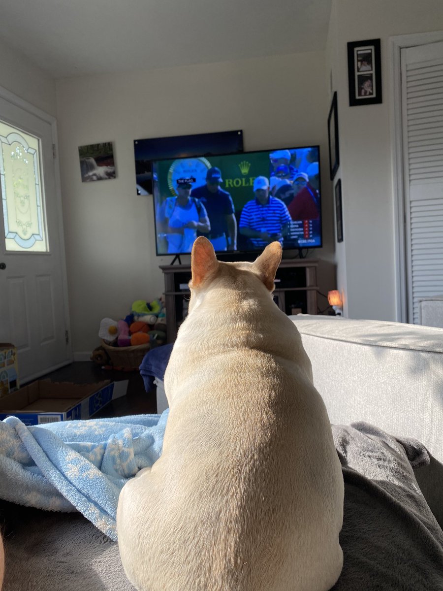 Even Harley Quinn is drawn in my what <a href="/PhilMickelson/">Phil Mickelson</a>  is doing today. <a href="/PGATOUR/">PGA TOUR</a> <a href="/PGAChampionship/">PGA Championship</a>