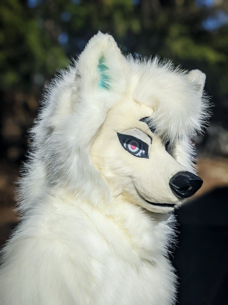 MidnightMkrs's tweet image. Such a fluffy doggo! I love samoyeds and so glad I finally got to make one!

🐶@smoothvoltron