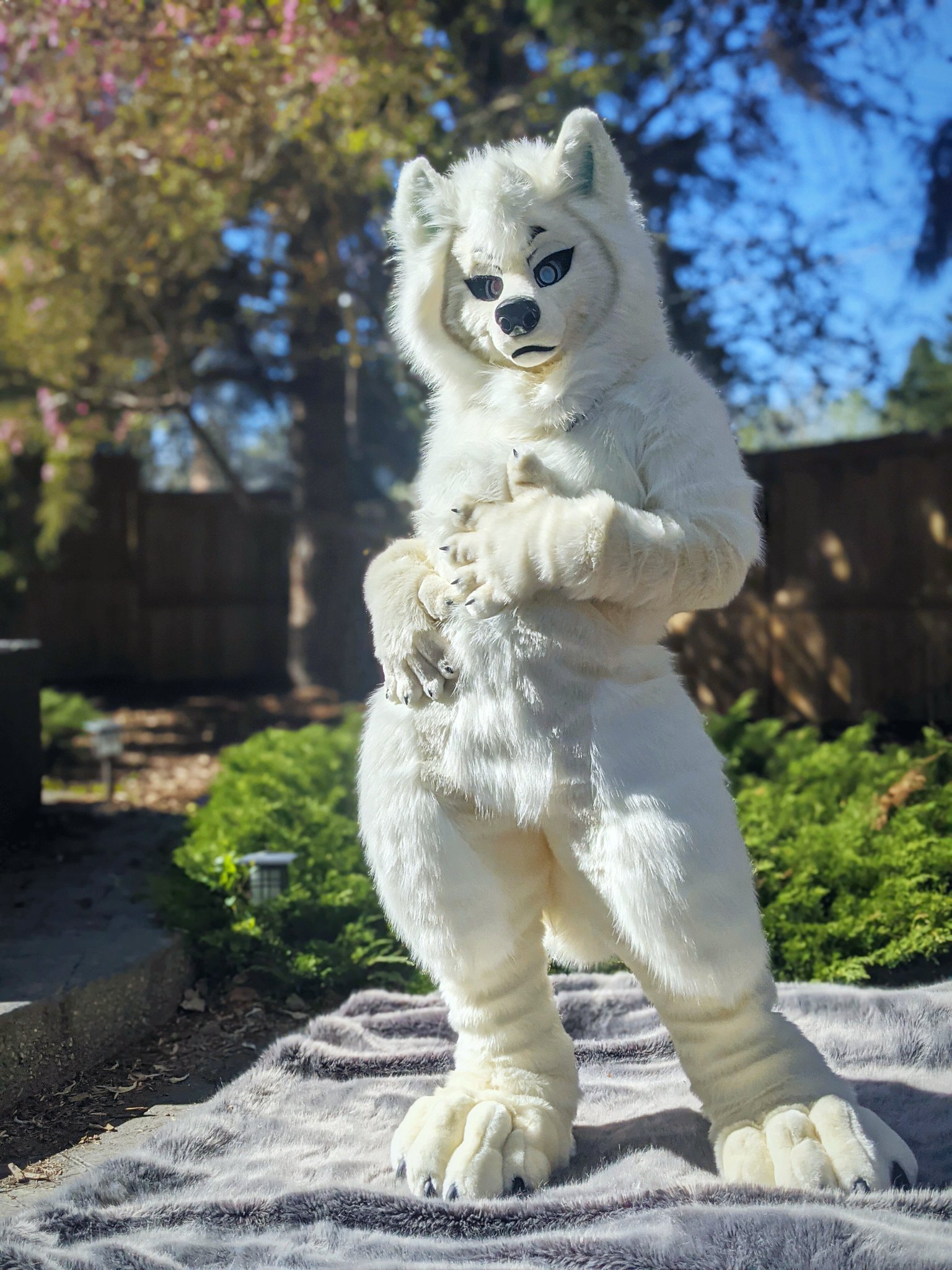【Samoyed】Garter Soft Knit (Ivory) NEW YARN: LandCloud Samoyed - Baaad Anna's Yarn Store