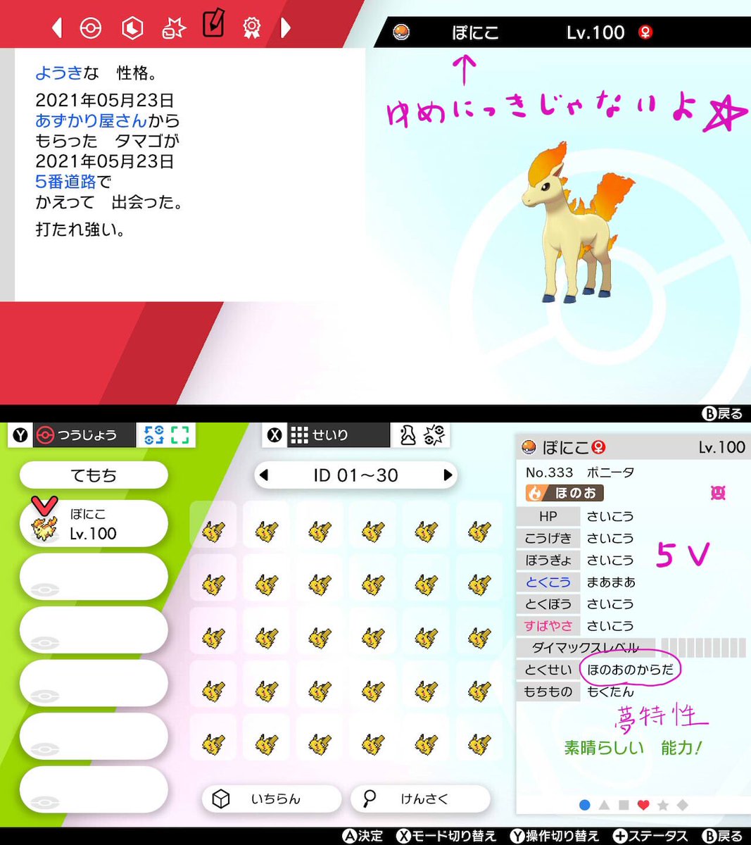 Meitomo ポケモン剣盾 厳選時のほのおのからだ要員に ポニータを厳選 育成しました 今まではセキタンザンorウルガモスでした ちなみに やっとウチに慣れてきたこのキンハムの名はラテ ハムスター ポケモン剣盾