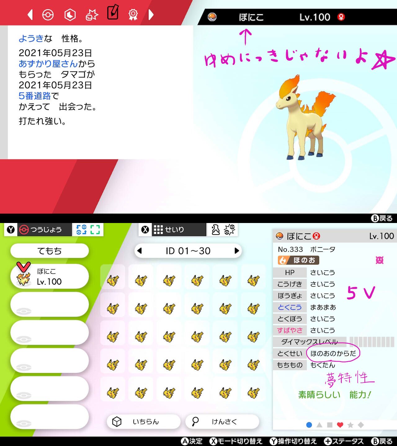 Meitomo ポケモン剣盾 厳選時のほのおのからだ要員に ポニータを厳選 育成しました 今まではセキタンザンorウルガモスでした ちなみに やっとウチに慣れてきたこのキンハムの名はラテ ハムスター ポケモン剣盾 T Co 16n8hv8eiz