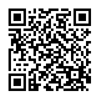 Ying Jin tweet media