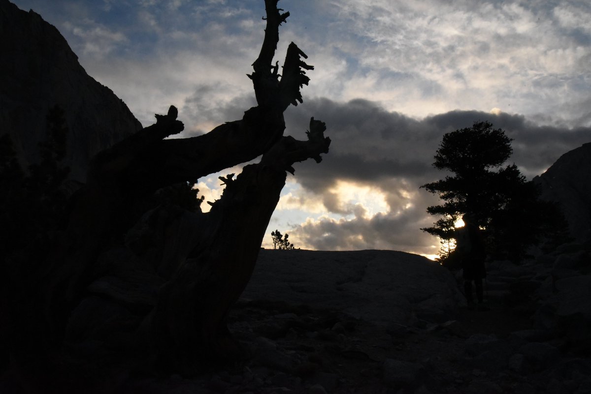 clearvueimage's tweet image. But I did get some extraordinary light along the way