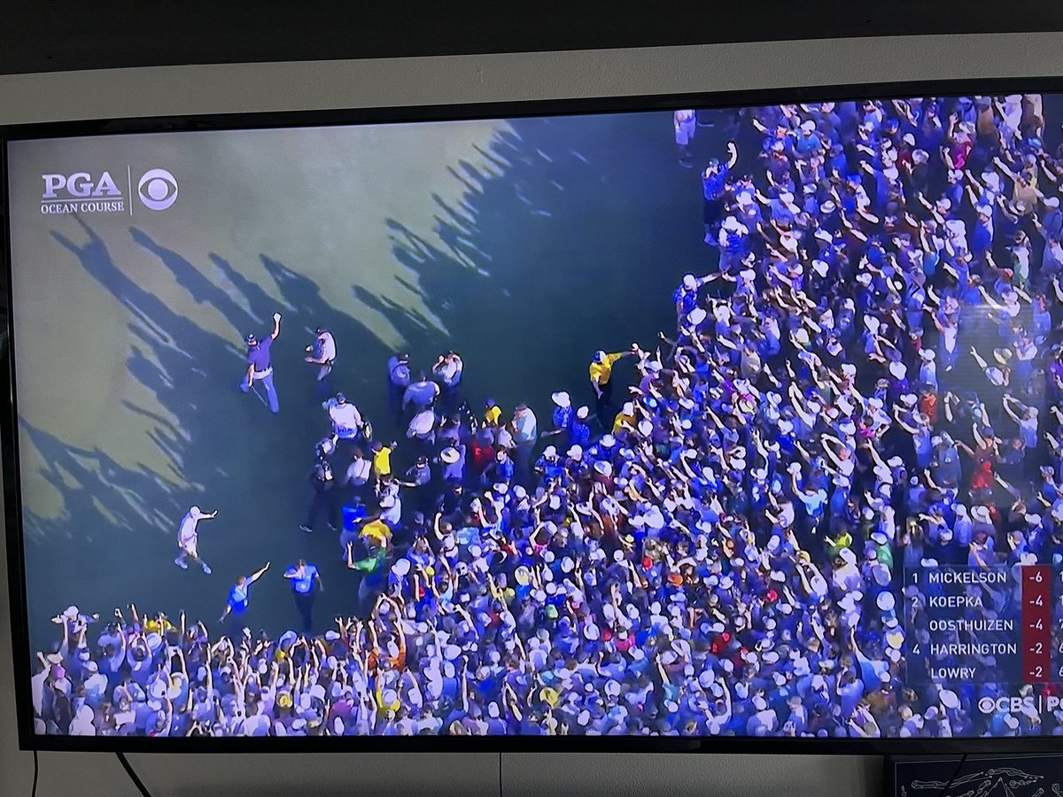 NoLayingUp's tweet image. !!!!!!