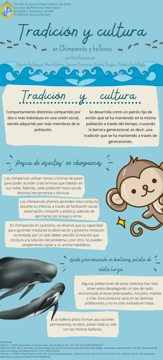 Sabías que los animales también desarrollan tradiciones dentro de su conducta? Mira cómo lo explican Natalia Arribillaga, Javiera Contreras, María Ignacia Quiroz, Valeria Vargas y Octavia Velásquez
#ConductaAnimal
<a href="/MedVetUC1/">MedVetUC</a>
<a href="/MasCienciaChile/">+ Ciencia Para Chile</a>
<a href="/VCT_ElMercurio/">VCT El Mercurio</a>