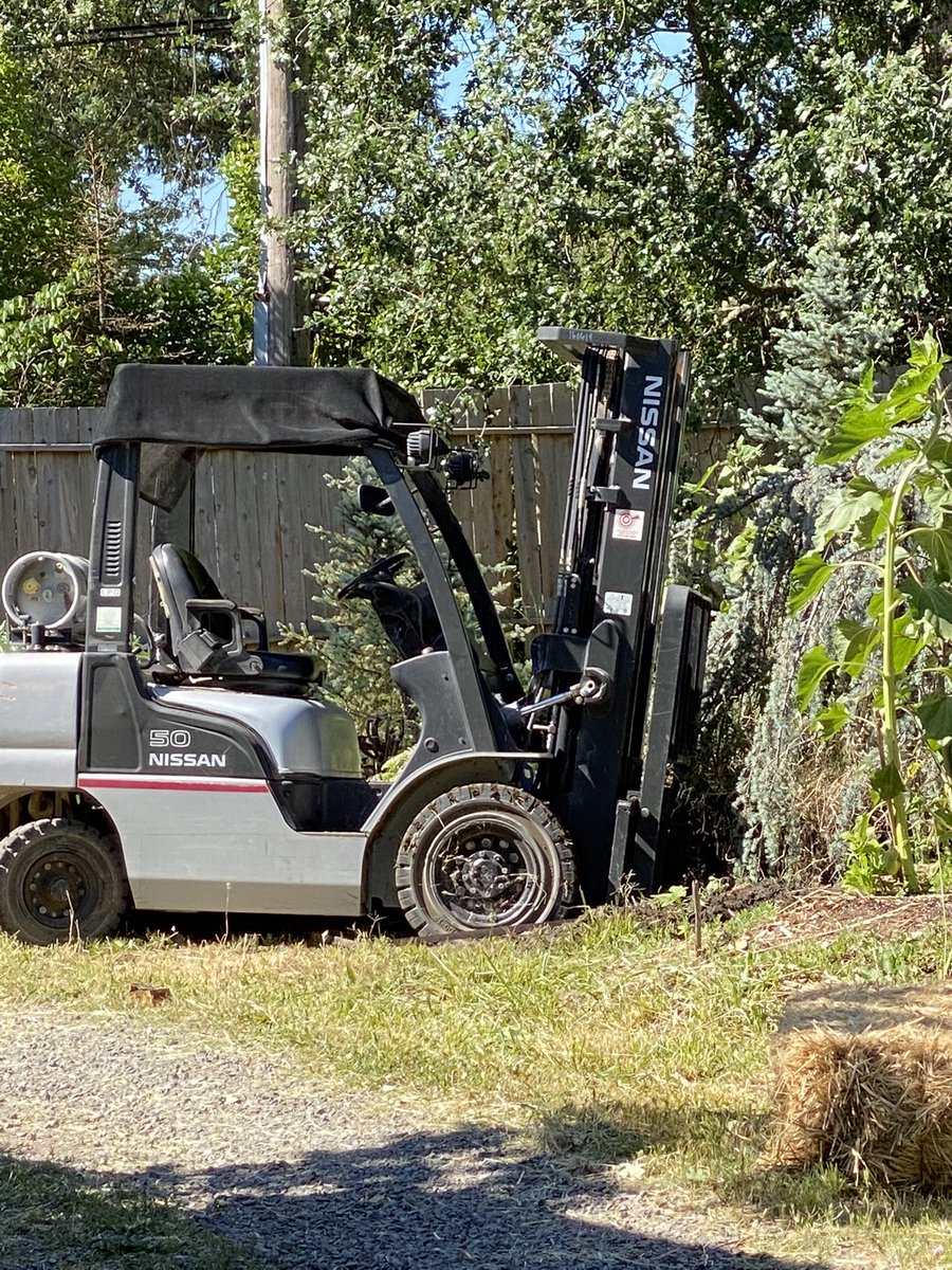 OceanGardenSun's tweet photo. Cedrus Atlantica Gauca Pendula is finally going into the ground after 20 years of potting up. WHAT A DAY!!!
#seriousarborollery #arboratoriumish  #arborfreeiffery #arborn #soilsilly https://t.co/NaP7jEQIw3