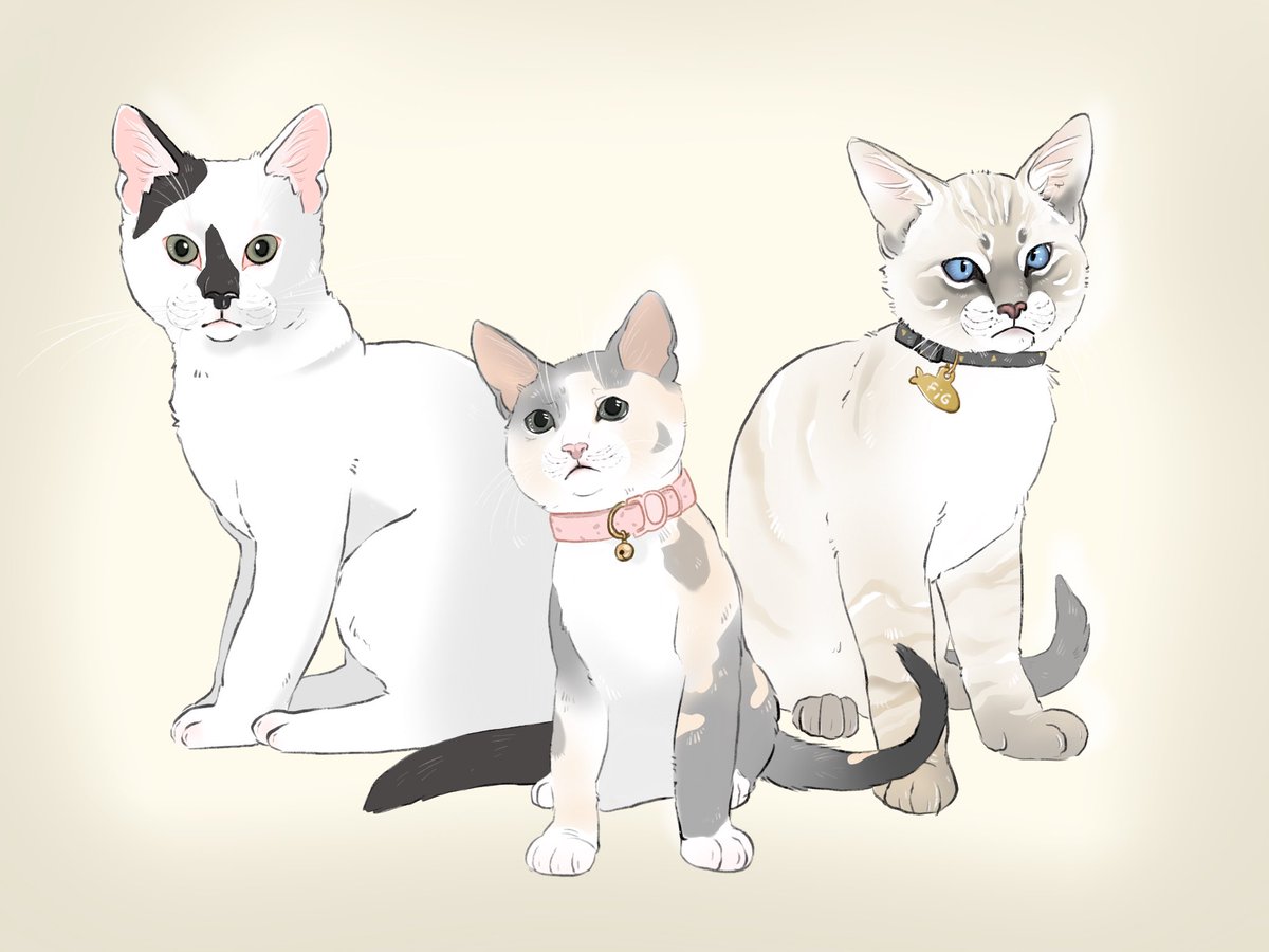 djfox311's tweet photo. Me and a few of my friends have all gotten kittens in the last few months so I drew the two grumpy boys and the sad lil lady. Pesto, Poppy and (my boy) Fig in all their glory ❤️ @OpticPeach @DHSorrows https://t.co/lYlFTqqiRX
