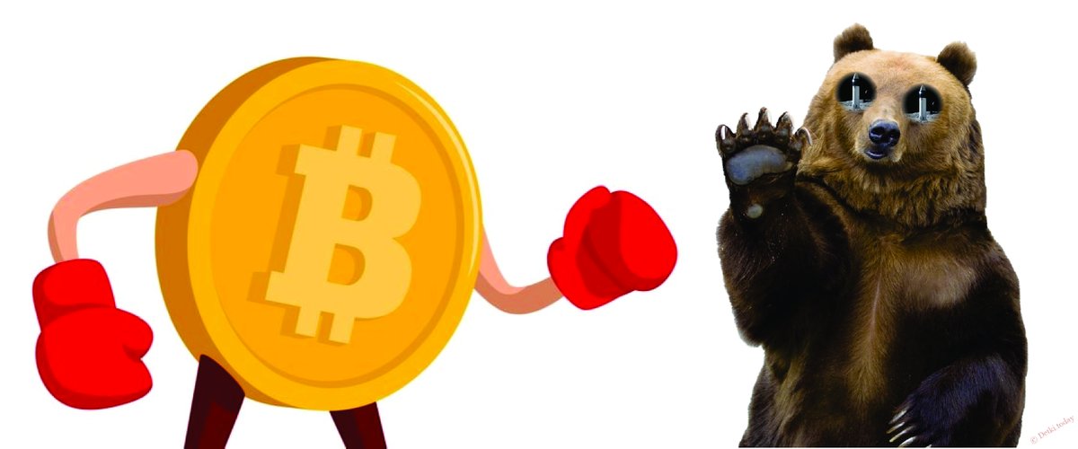 Crypto 🚀 Freud tweet media