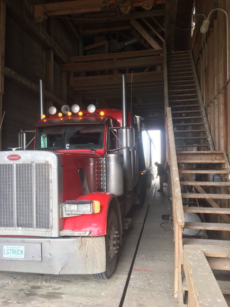 First load dumped into an actual bin instead of the cleaner bin since LPG farms purchased the lacadena elevator <a href="/LGLeifer/">Leif Gustavson</a> LG trucking