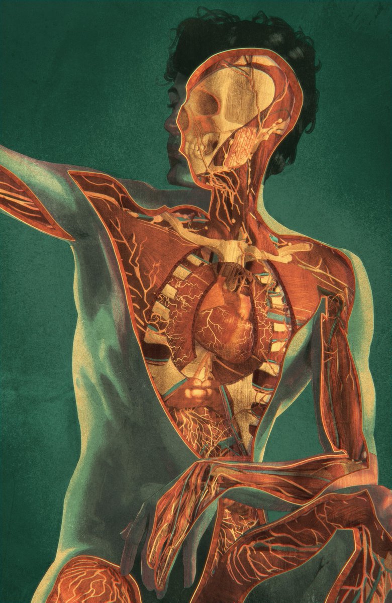 omg I think my follower count reset because I was depressed and deactivated my account lol. 

Please RT if you see this I do drawings