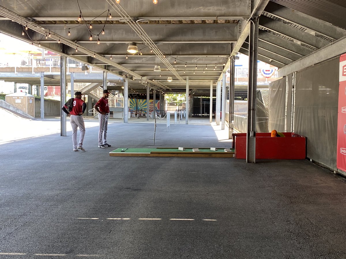 Megan Ward tweet media