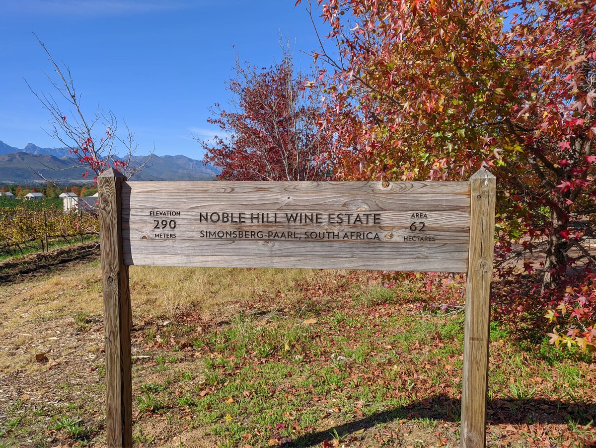 Finally did the Franschhoek Wine Tram... What a gorgeous experience! So great to see local wine farms busy again #supportSAwine