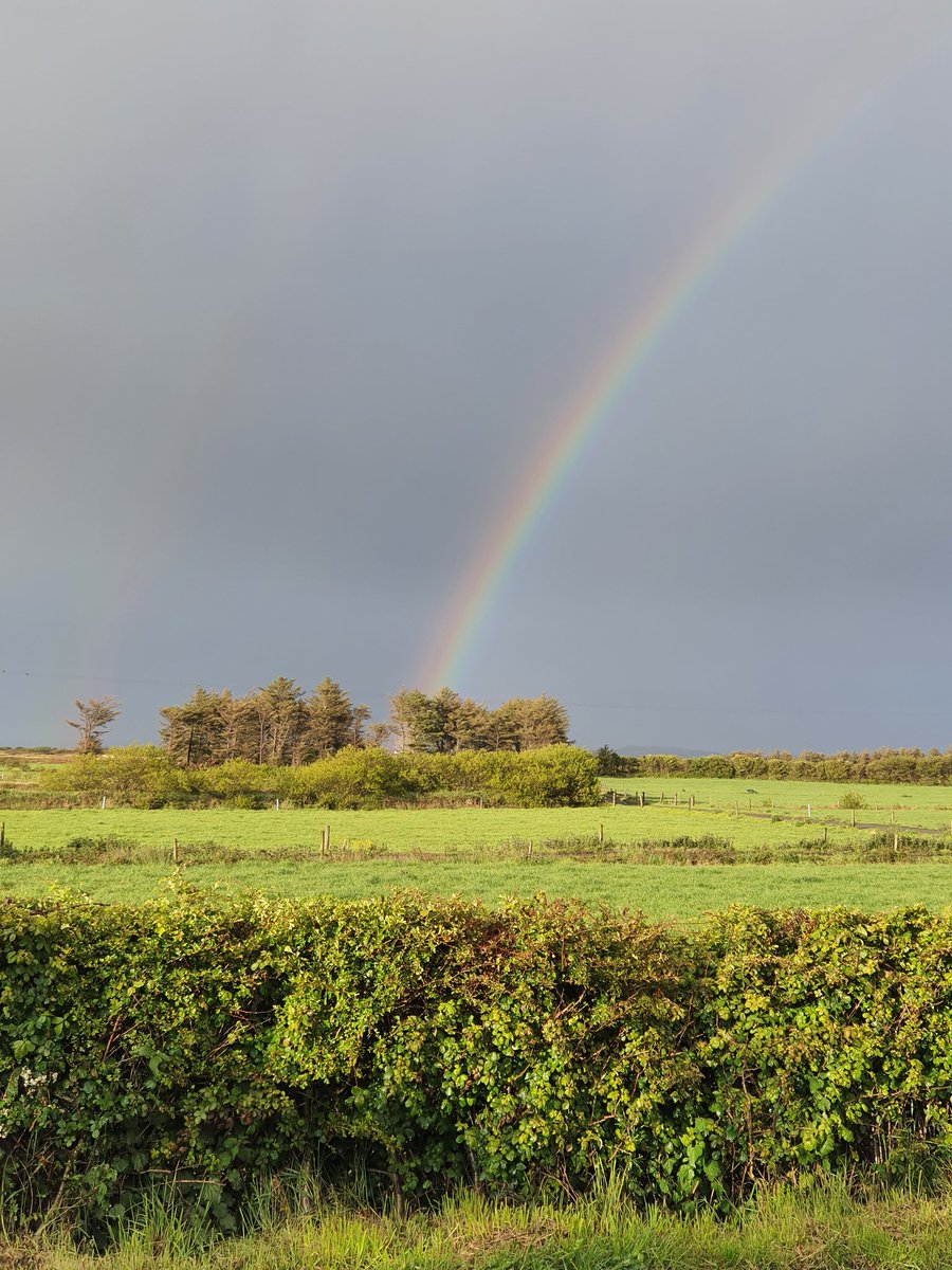 AndrewKilleen5's tweet photo. That's a fine dark sky nd rainbow during the #maybreak https://t.co/n0LzuS3rP9