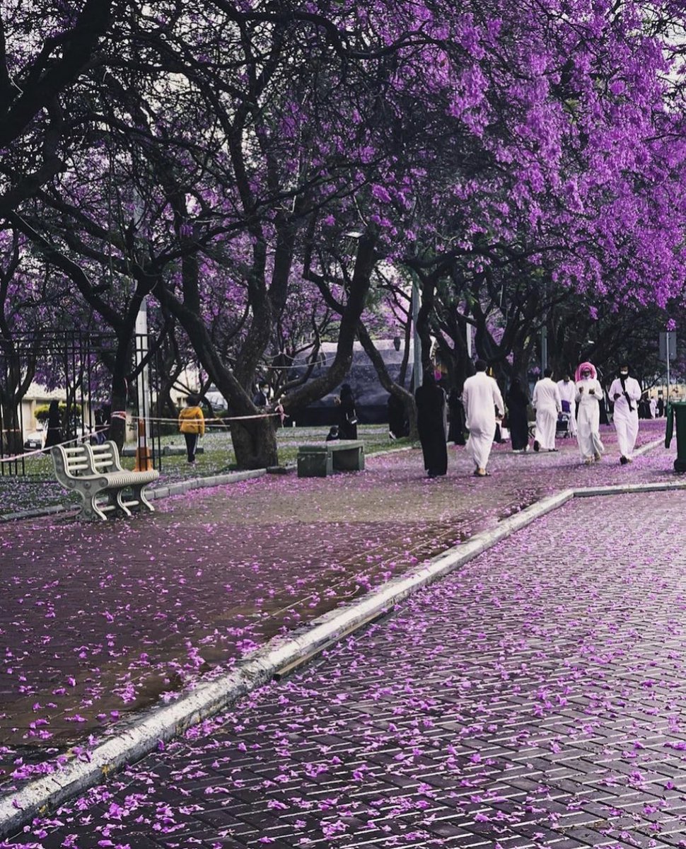 Arabbeau's tweet photo. Abha - Saudi Arabia https://t.co/7RSvwFEGSX