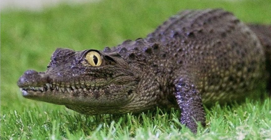 JRJ_Deva's tweet image. #ModiAgainstNation