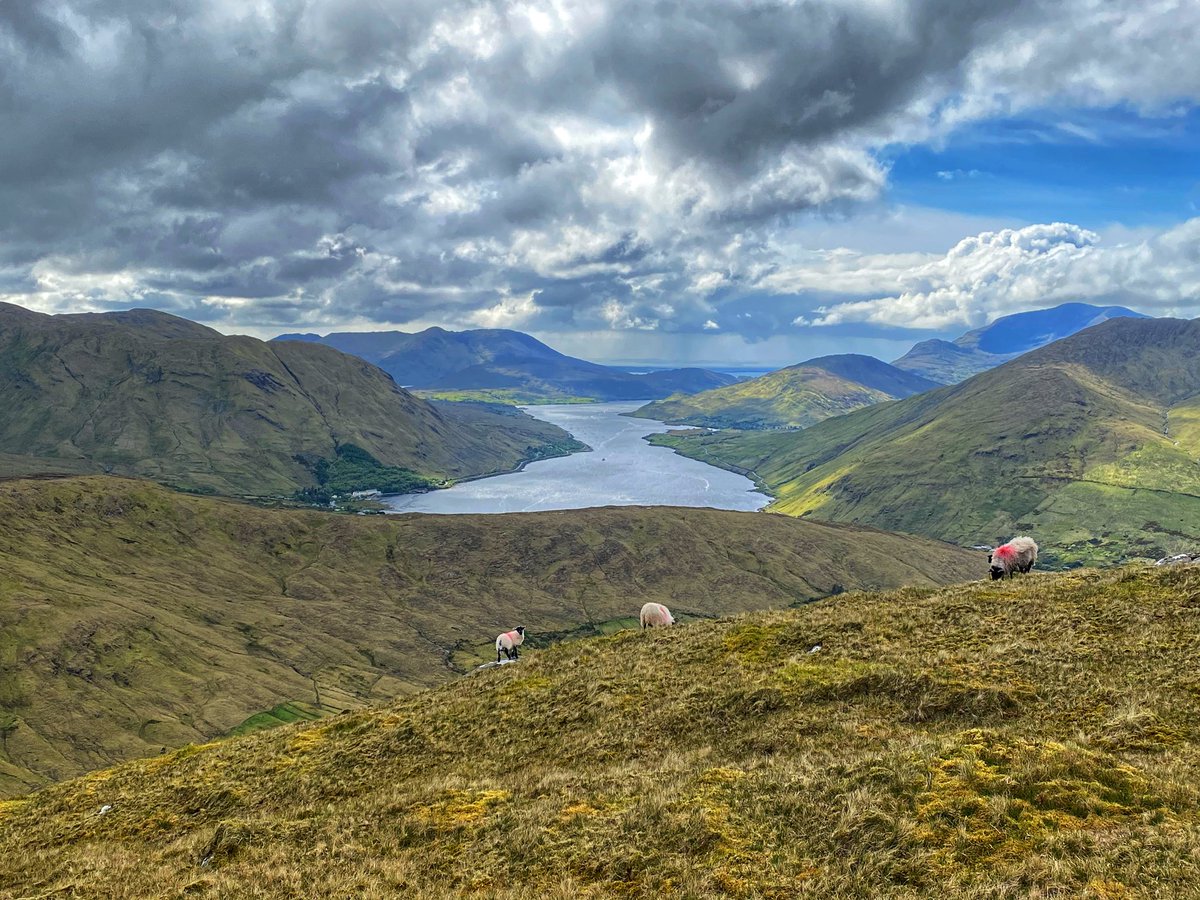 Mayo to the right, Galway to the left - here I am, stuck in the middle of Leenane 
View of Killary Fjord from Devil’s Mother📍645m 
#Connemara #KillaryFjord