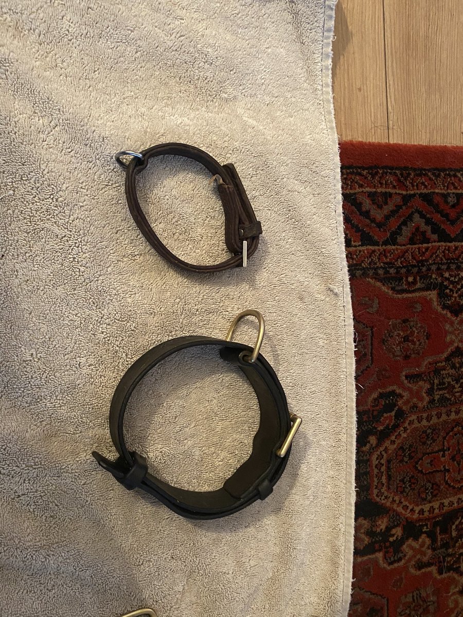 amydeemo's tweet photo. Well the weather is a bit ๐ฉ.....never thought the ๐ฅwould be lit near the end of May. Sunday evening kit sort & giving my leather kit a much needed clean after all the rain. Found Jinxโs first tracking harness I brought her in Jan 2020, she now wears PD Dukeโs ๐ถ๐ #PupToPD https://t.co/jGEPpcxbCK